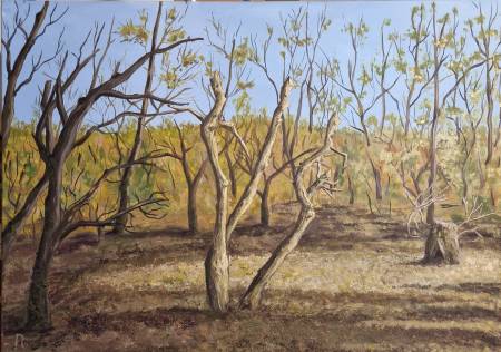 Загадочный лес Машук