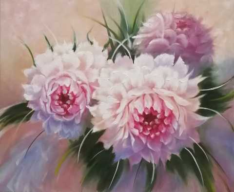 Пионы розовые