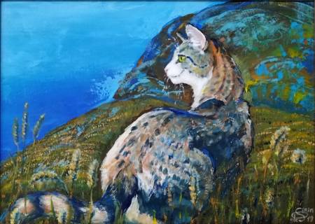 Кошкино поле