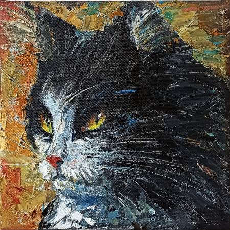 Неукротимый Взгляд Кота