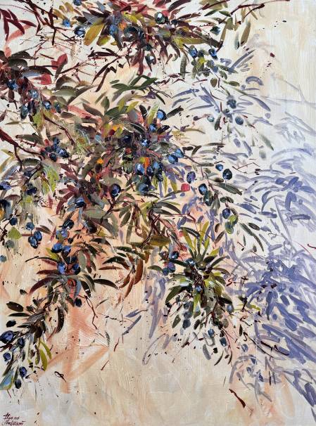 Оливковые ветви под солнцем