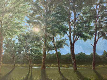 Летние лучи