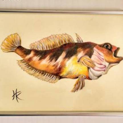 Бычок антарктический