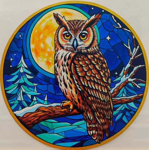 Зимняя идиллия Сова