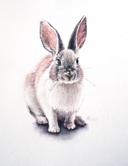 Акварельная картина Кролик-1 на белом фоне, анималистика, реализм