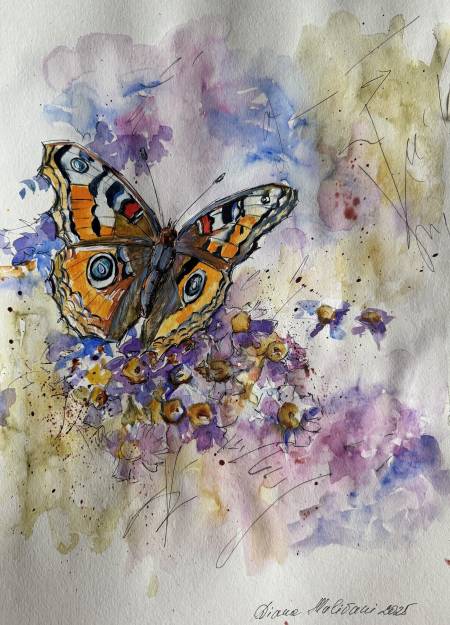 Бабочка. № 2