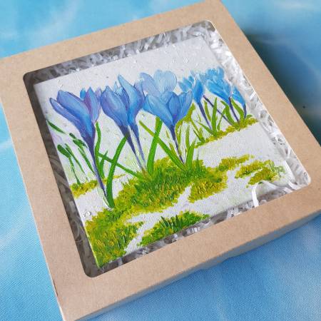 Крокусы синие в подарочной коробке
