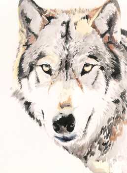 Андрей Разломов