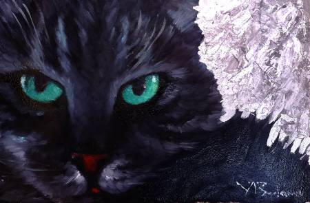 Кот