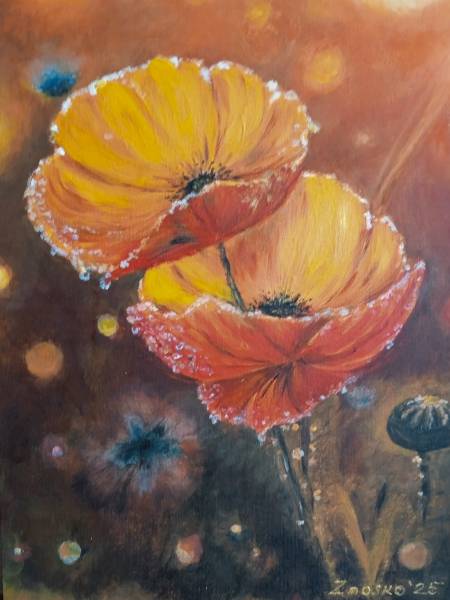 Маки после дождя.