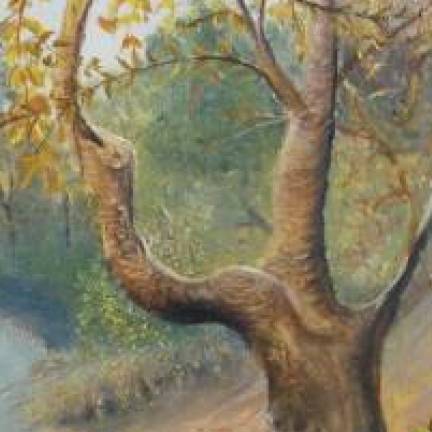 Пляж реки Псекупс 