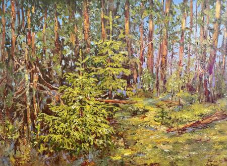 Молодые ели