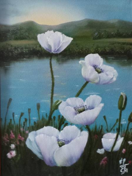 Маки на рассвете