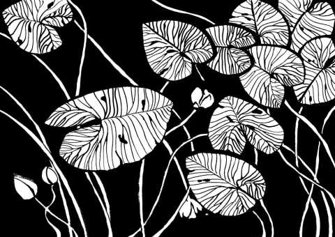 Листья на черном: графика на бумаге