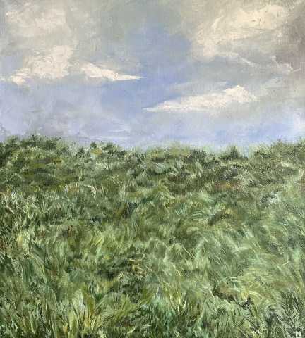 Wind in the grass