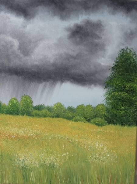 Гроза в поле