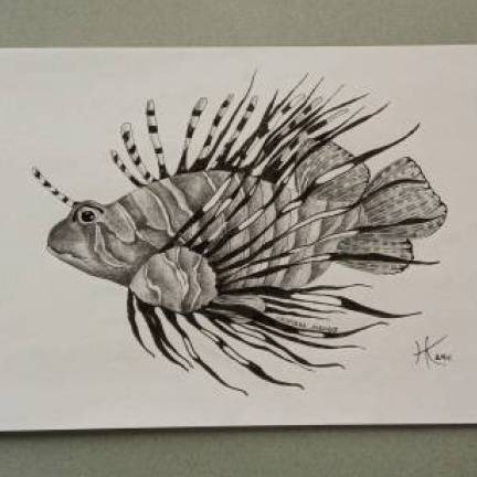 Скорпена львиная