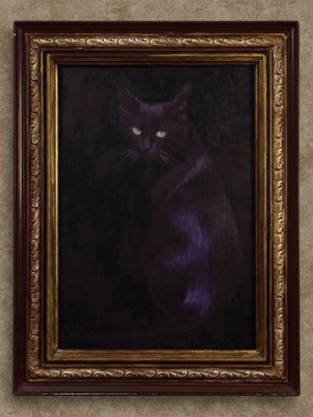 Кот в тёмной комнате 
