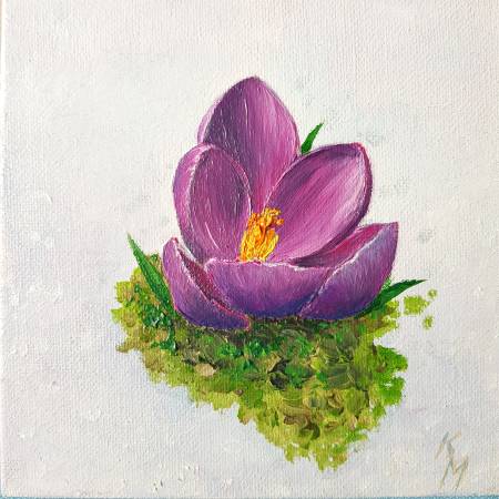 Крокус в подарочной коробке 8 марта