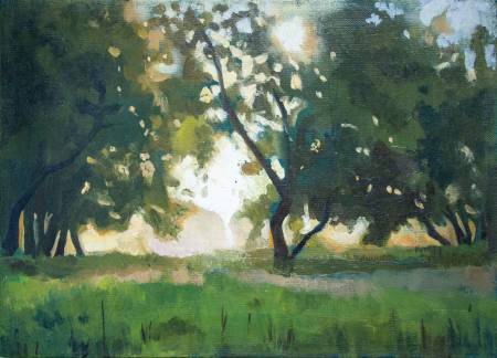 Летний пейзаж с деревьями