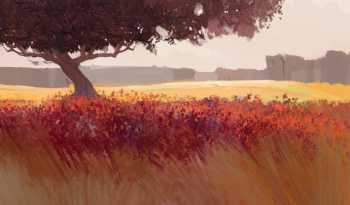 Моя галерея 