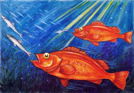 Охота морского окуня