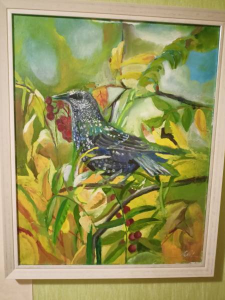 Кукушка в лесу