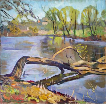 Поваленное дерево на реке Воронеж