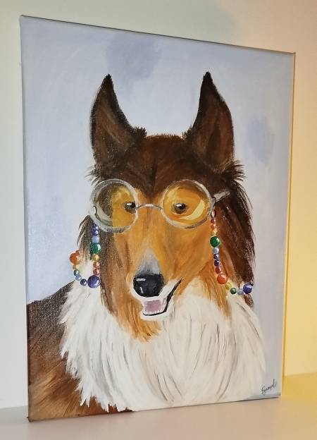 Модный колли