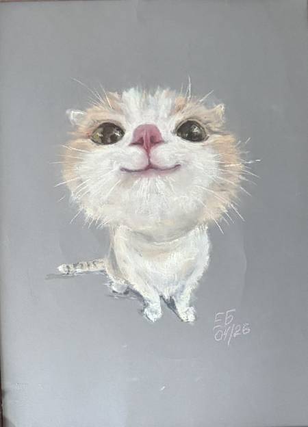 Котик