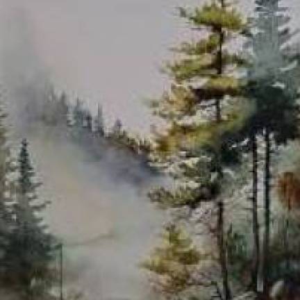 Лесной пейзаж