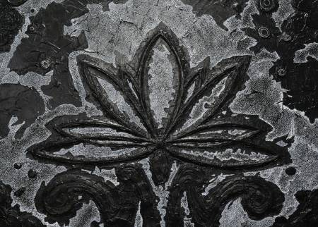 Лотос в ночи