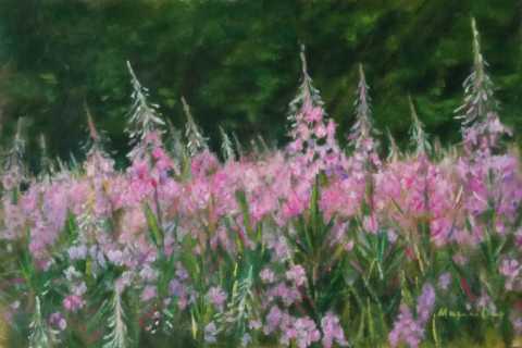 ,,Розовое,, бумага,масло.