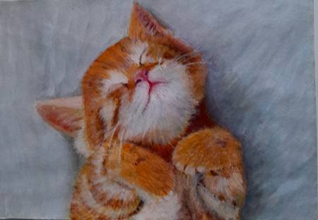 Рыжик спящий катенок