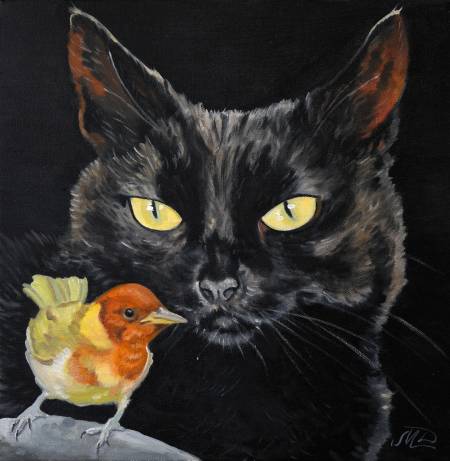 Кошачий взгляд