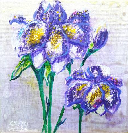 Ирисы