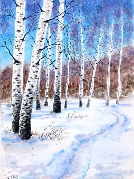 Зима. Березы в лесу