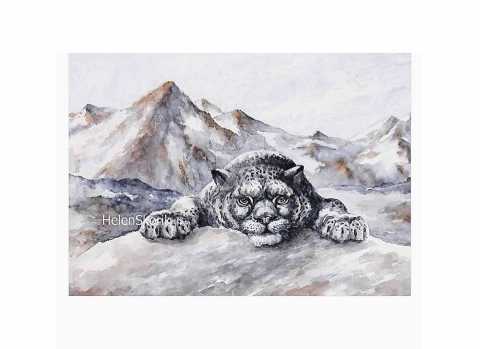 Snow leopard