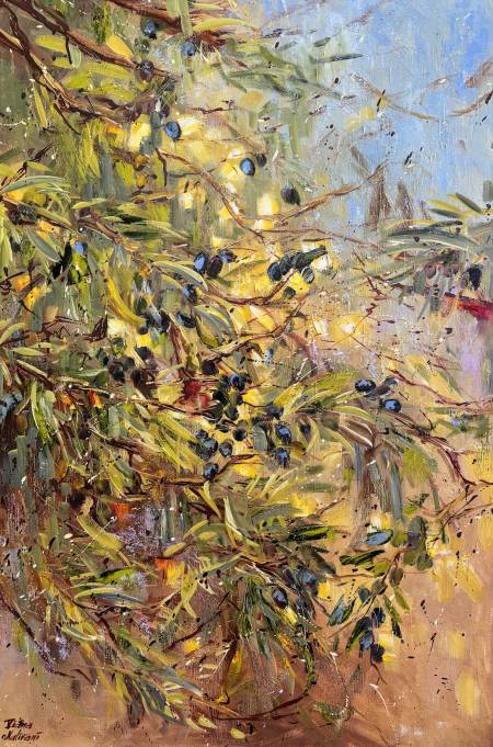 Оливковые ветви