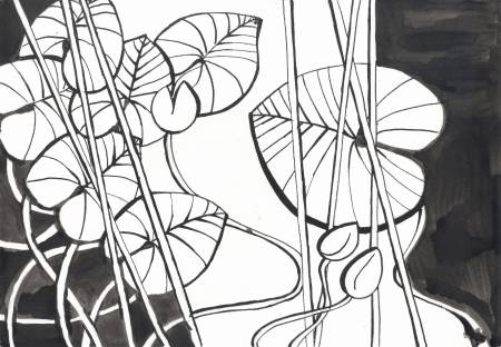 Черно-белая графика: ритмы природы